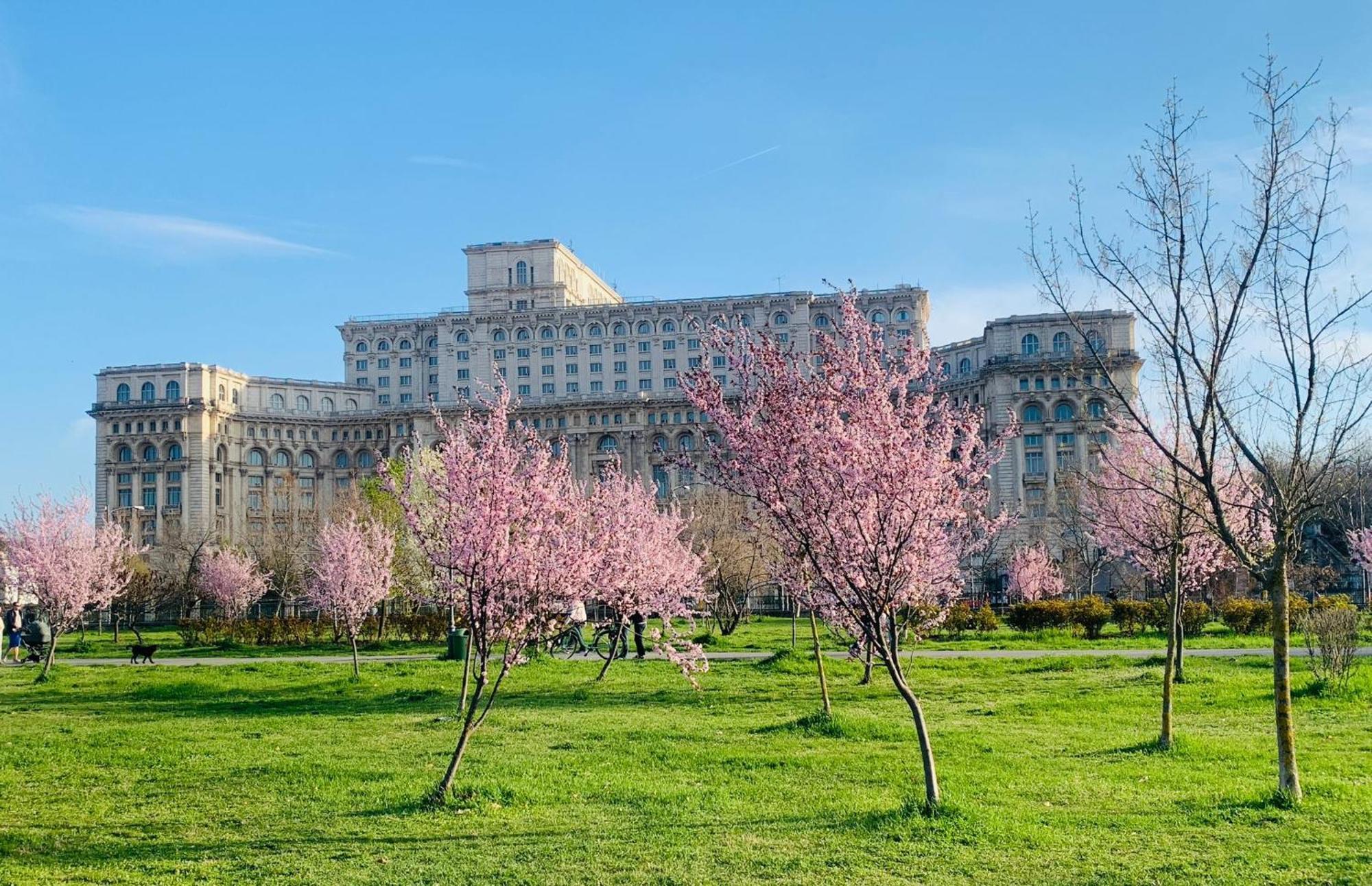 Chic Apartment Piata Constitutiei - View From The Balcony To The Palace Of Parliament Bucarest Exterior foto